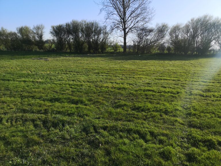 1603 f7eb8aeb02d6dd616e133e07c82e7090 1 768x576