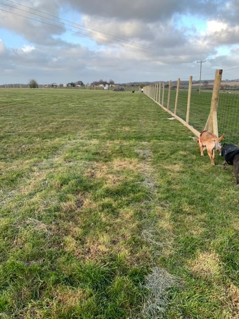 1603 fb5649626e38002732ec17b31b127f0f 1