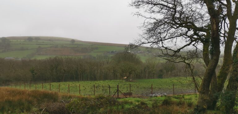 1605 59d88697f152685a6e91d6b947cee19a 1 768x367