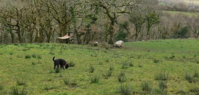 1605 6125963c4481f209de936497f1659483 1 768x367