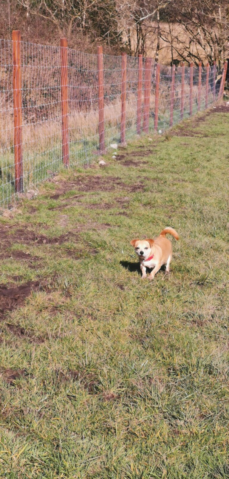 1605 d1d90a8c41230ab8cdc38699f9bb913a 1 768x1606