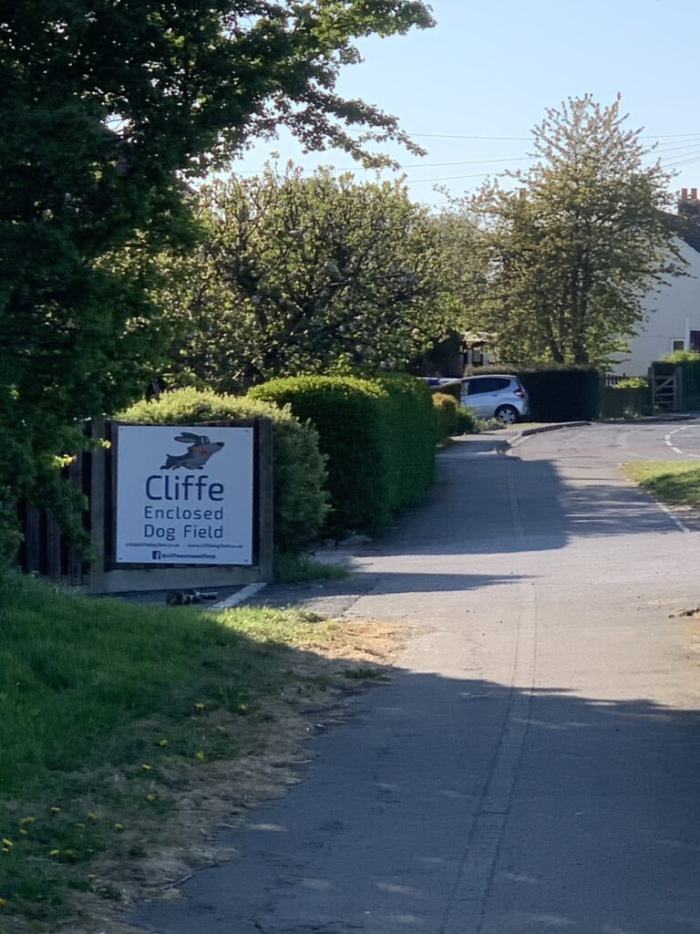 1610 15794f017a7b81158a7275a19e643223 1 768x1024