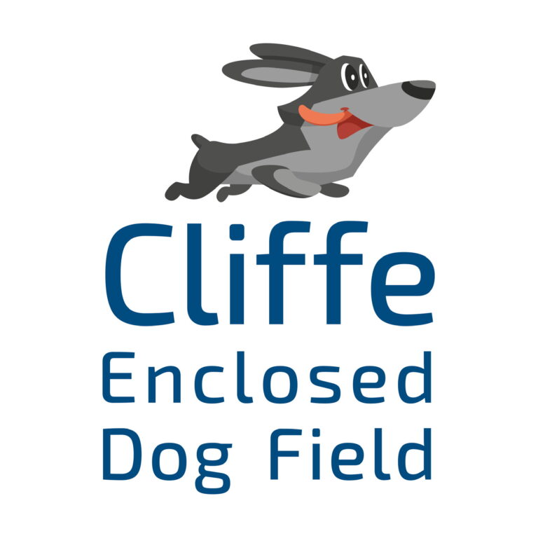 1610 5eb66c1fee9b55e4eef81c98632f115d 1 768x768