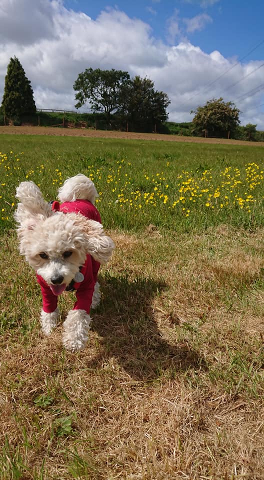 1611 5d84acd23e668c6b480952c1f2eef5a5 1