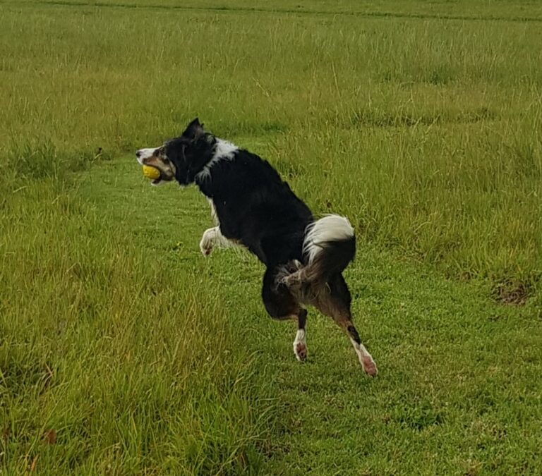 1611 6e433bd8c3aff3f4f7bffd798dd23a8d 1 768x675