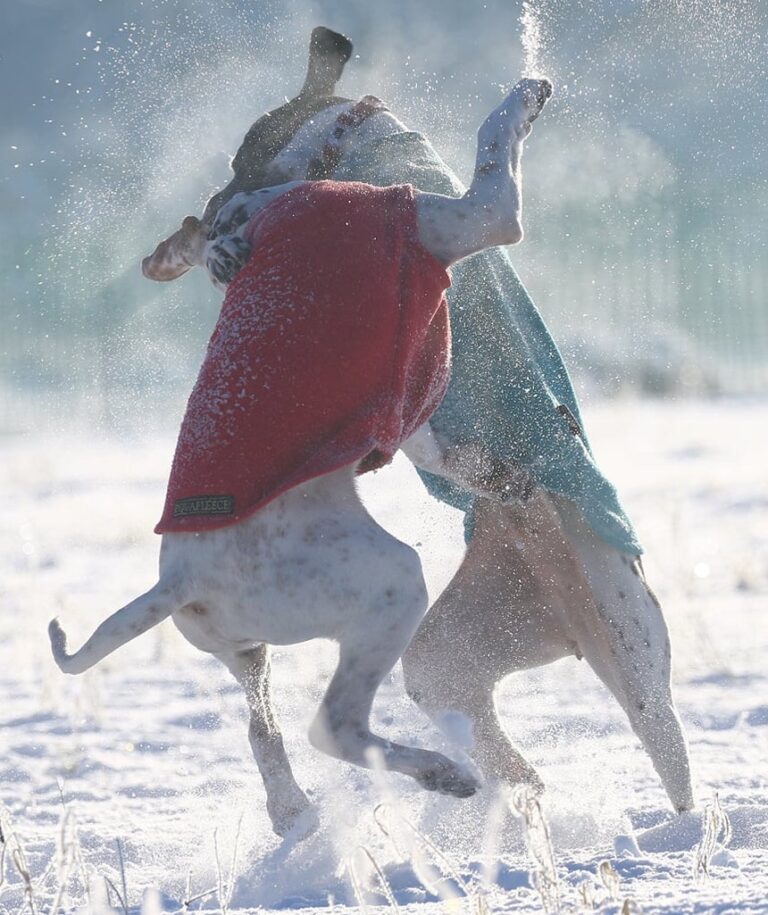 1611 822af3d6d15ff60c56227465fb2c9b80 1 768x915