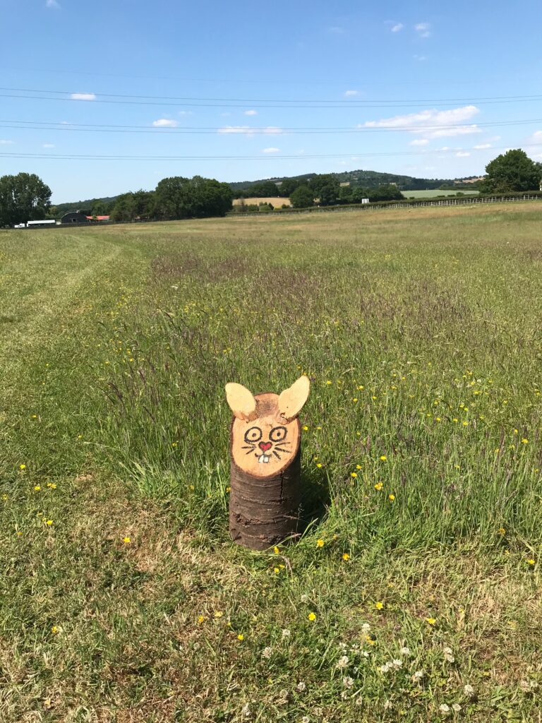 1611 a7de6302103982d5040f2f513109a878 1 768x1024