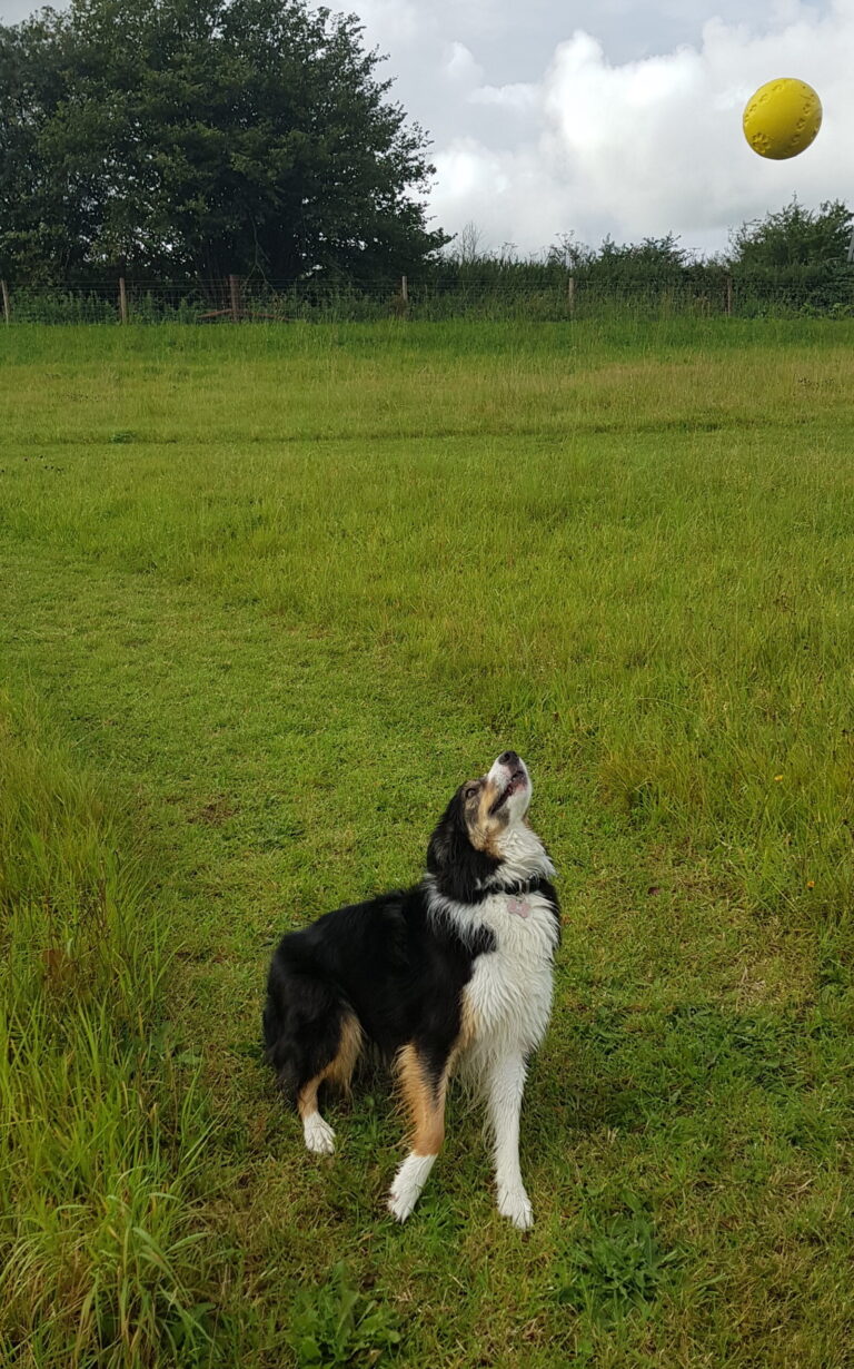 1611 f271ae38d58ab9d3f7c2af7bc8811c11 1 scaled 768x1230