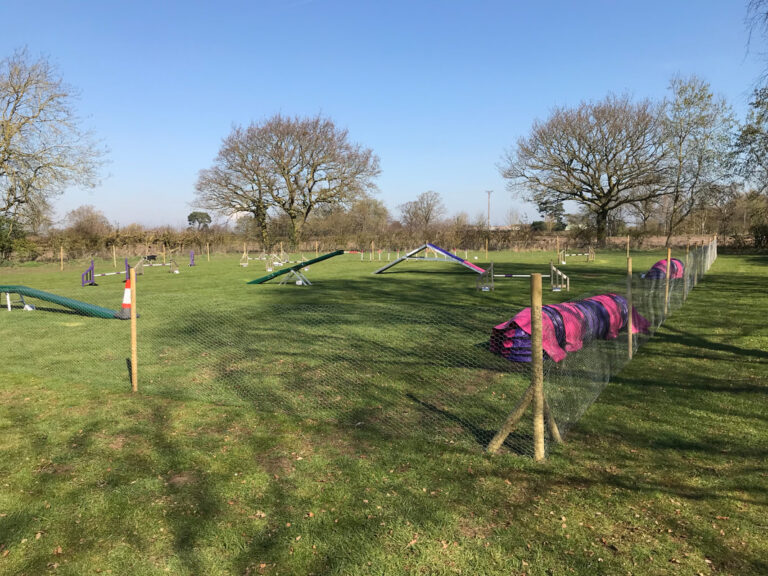 1612 ef3e516c78c2d831a9d0da4c5fcf41f0 1 768x576