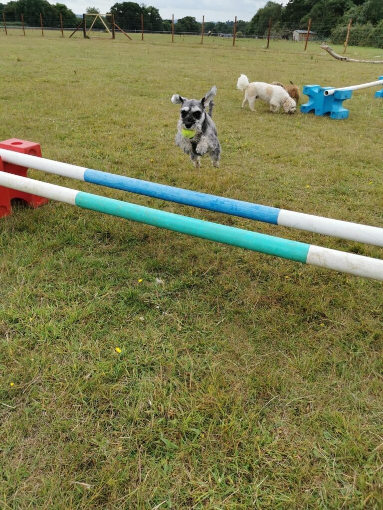 1617 097c4a2b9f779b87c4e9ff66cad03f26 1 768x1024