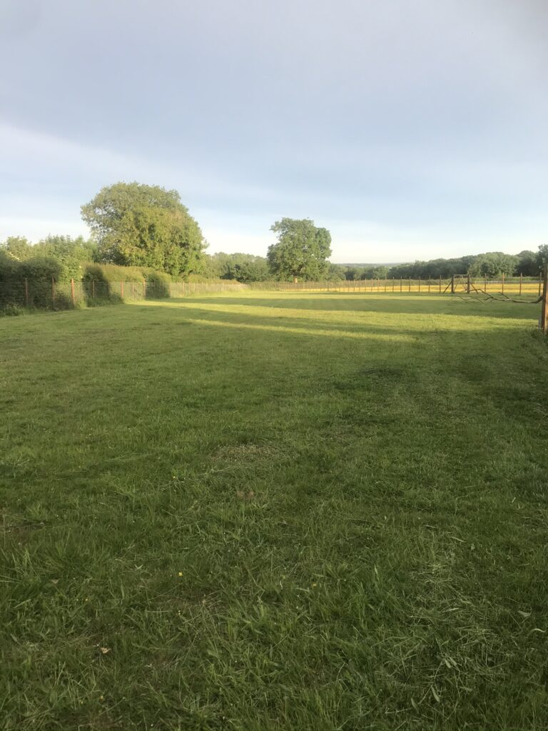 1617 1116238a551c73a2c5ed341fc646d223 1 768x1024