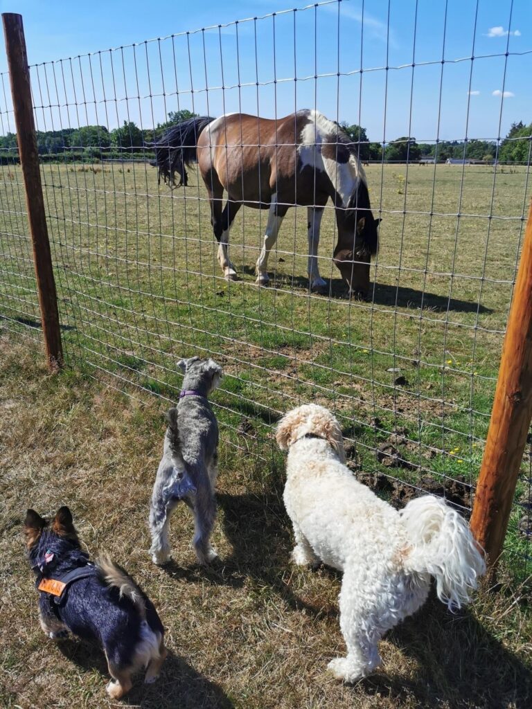 1617 2e4049d79abba6e6fcaaf67b27d2825b 1 768x1024