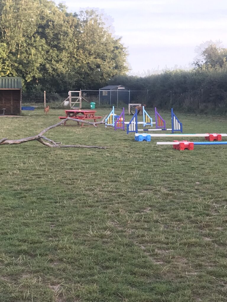 1617 4204b8438731324ad7df7388cef7073a 1 768x1024