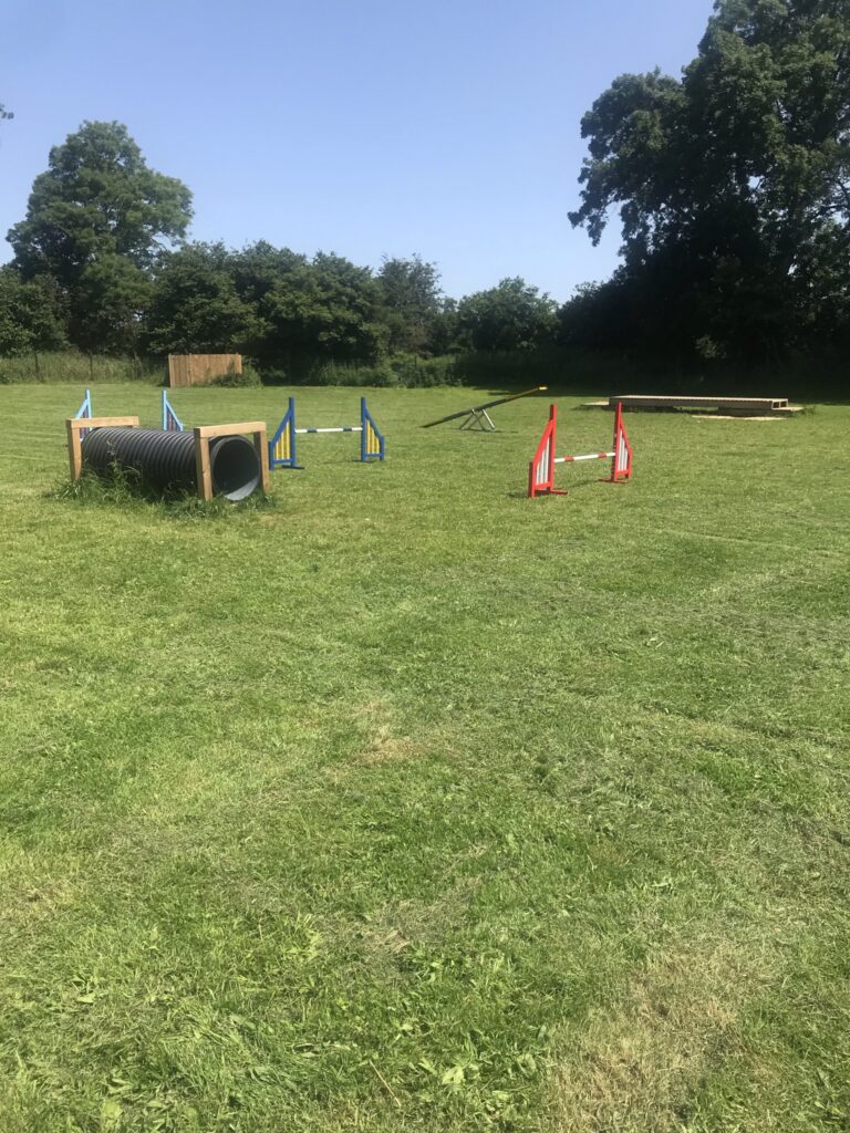 1617 95a8d80befb1d8a1e2824e7961243861 1 768x1024