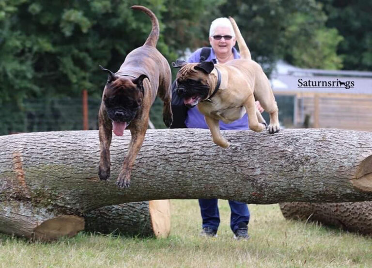 1617 f2bc6b30c7249d459b86bd3e3d82f3e3 1 768x553