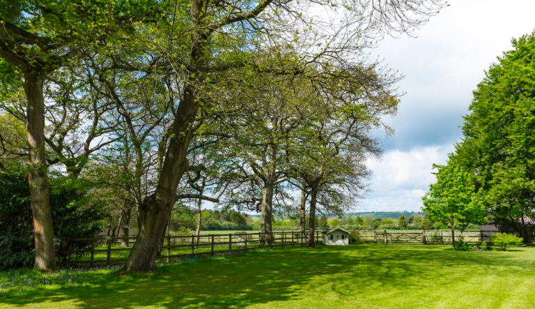 1618 c9d5cbe9829abd8fc945630358739f7d 1 768x443