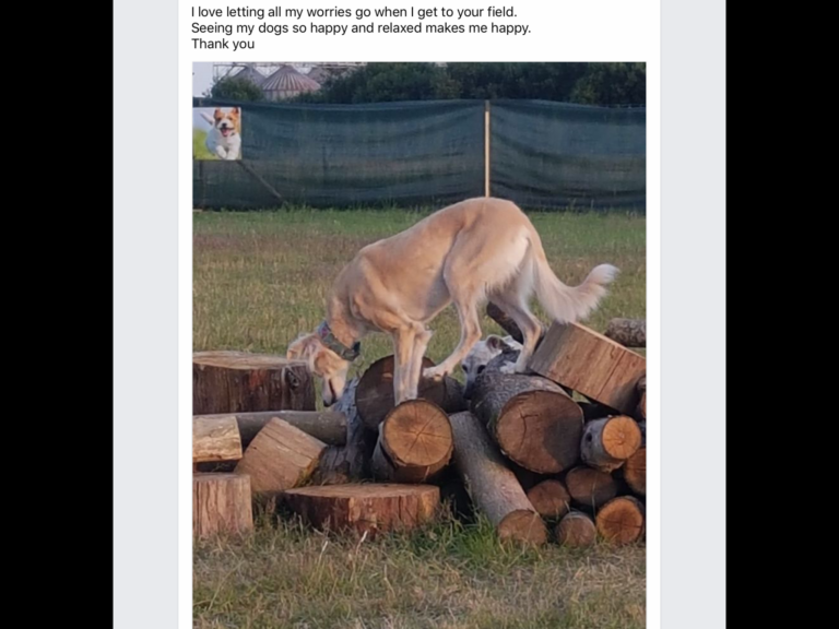 1619 0153ca4ff012a6f9cd2d8aefeb596734 1 768x576