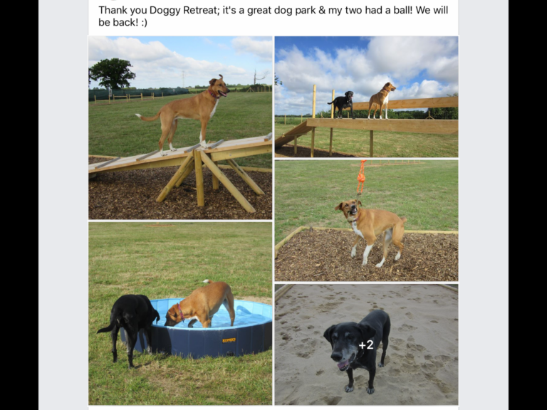 1619 118e1d25d4ca9176b401503caa340e5b 1 768x576