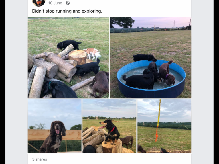 1619 2c7d52cb6967b66d9228744afac1d3e7 1 768x576