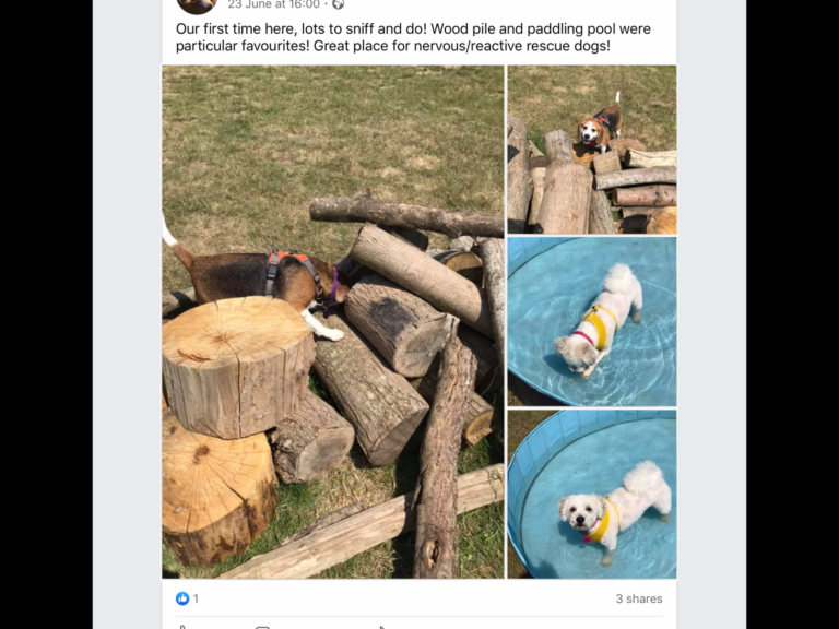 1619 3327a79fdefc787ee3a665fd96c4002a 1 768x576