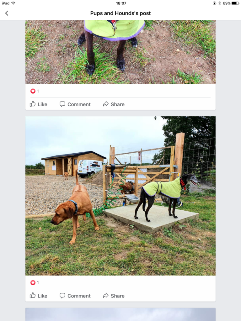 1619 43bbe6f3bbb32d11fae21e95cb832c1f 1 768x1024