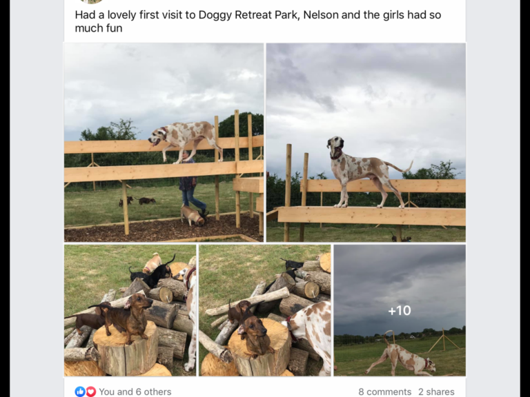 1619 658fa2784a3a06e8f8ce2ef5b24cea0a 1 768x576