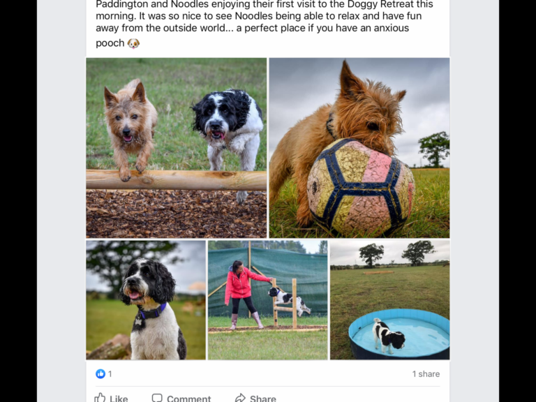 1619 66a9afff4f24d8286d819de540133d3b 1 768x576