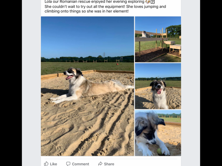 1619 85d0be7d35a0c2aa0da472624f809a87 1 768x576