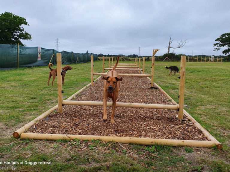 1619 868f40acc25282195751c40f7699b032 1 768x576