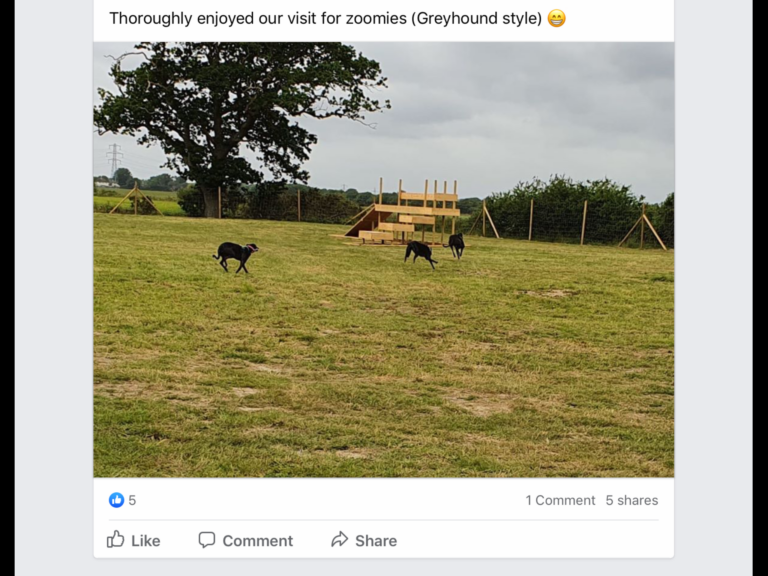 1619 88c1ecc3a965b20950f123b183ad7d78 1 768x576