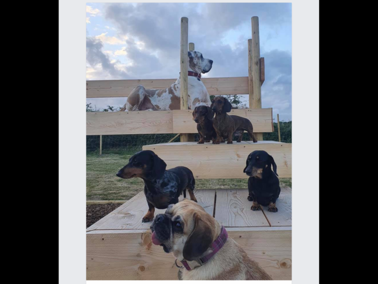 1619 903fc9b5fcacda483c297c6a317235ef 1 768x576