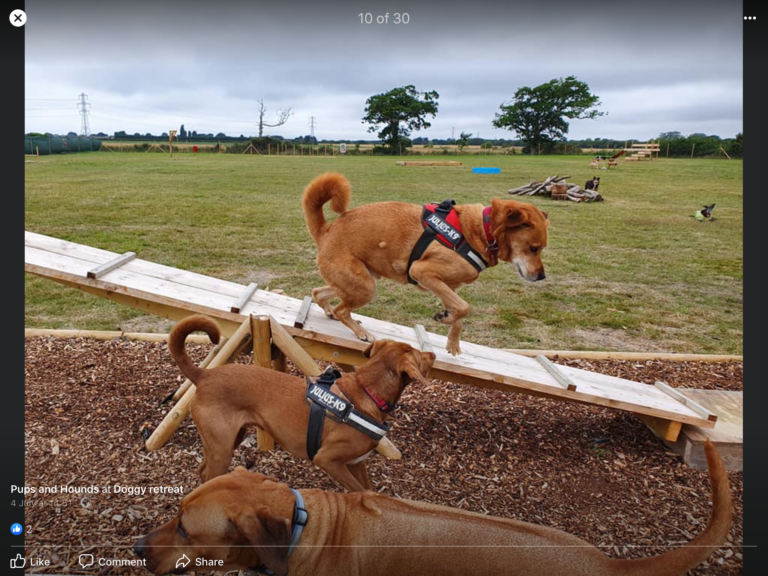 1619 abd73690df67fa01bcd9d25ef1f69ad0 1 768x576