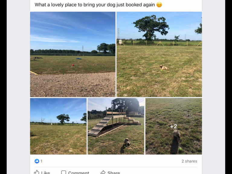 1619 dc889f1ff0d39e98b1bf187882cb9678 1 768x576