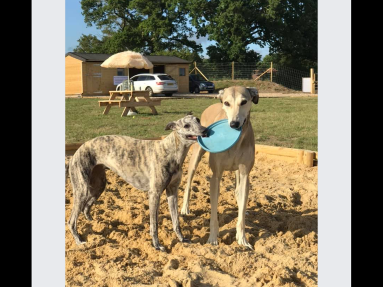 1619 f38a56d9ad59cd588f3e0c729af131a8 1 768x576