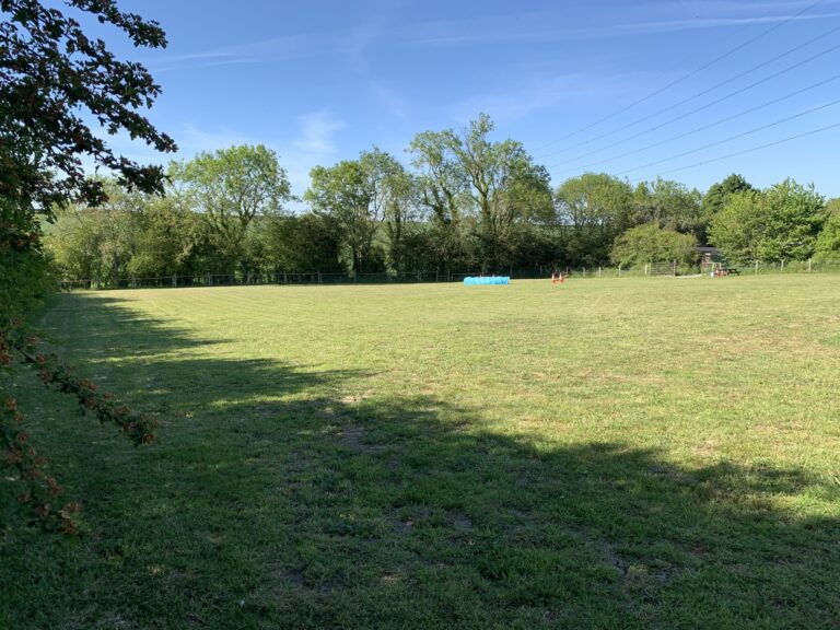 1623 8aec3524514a0d2993146234a39ed541 1 scaled 768x576