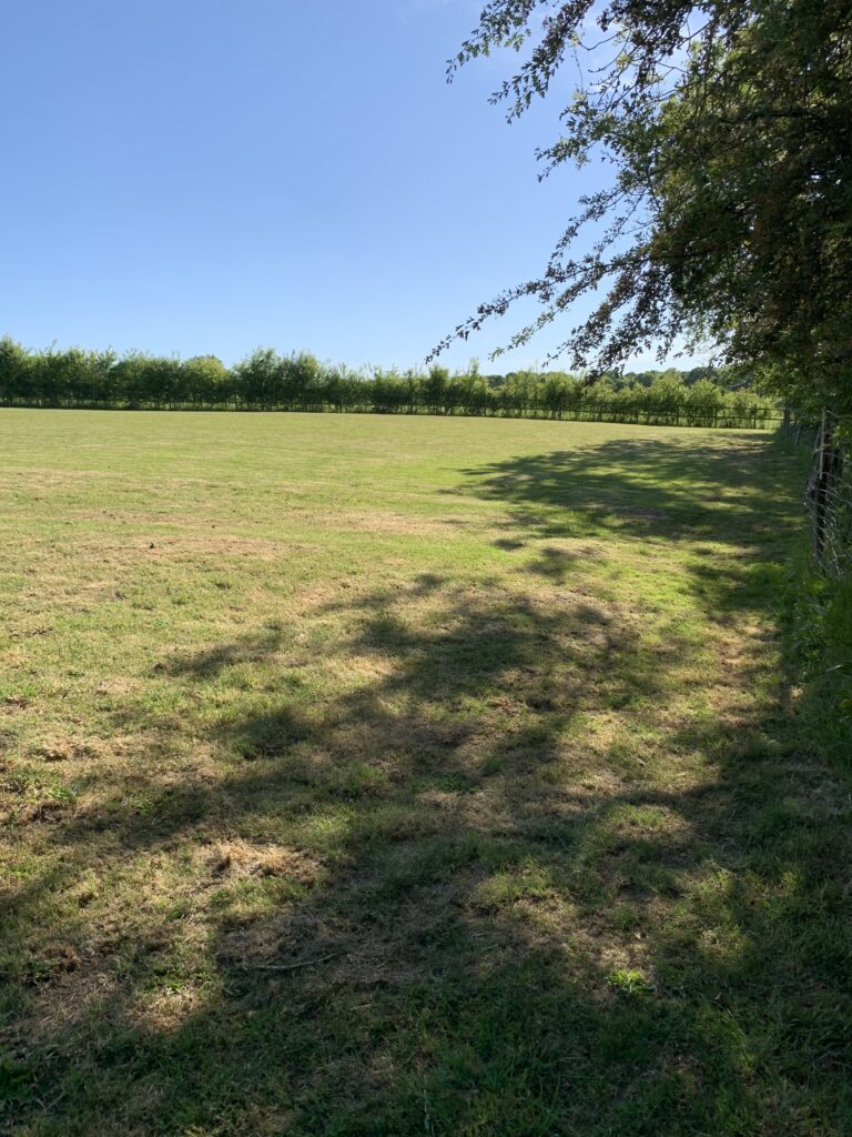 1623 e1ef8a79eeb3ee56b012fa25be913c61 1 768x1024