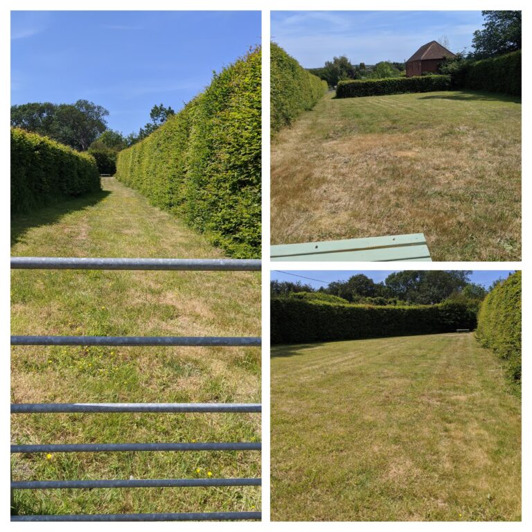 1628 119a9728560708a12ca28727066bd380 1 768x768