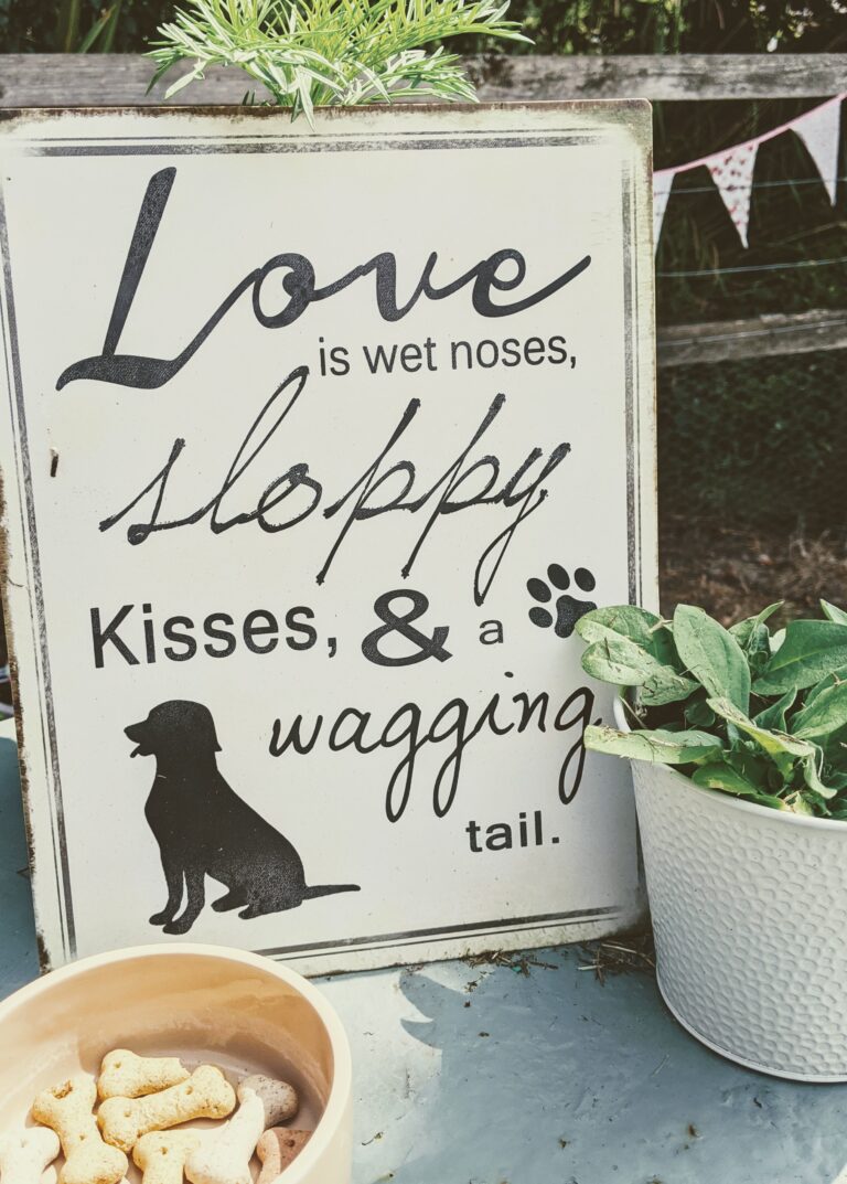 1628 32cce77a0367f6a4c526c5395f9a66bf 1 768x1073