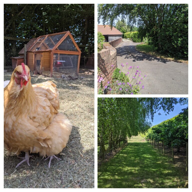 1628 342b05a07b3e8b1c06412ec61902a24f 1 768x768