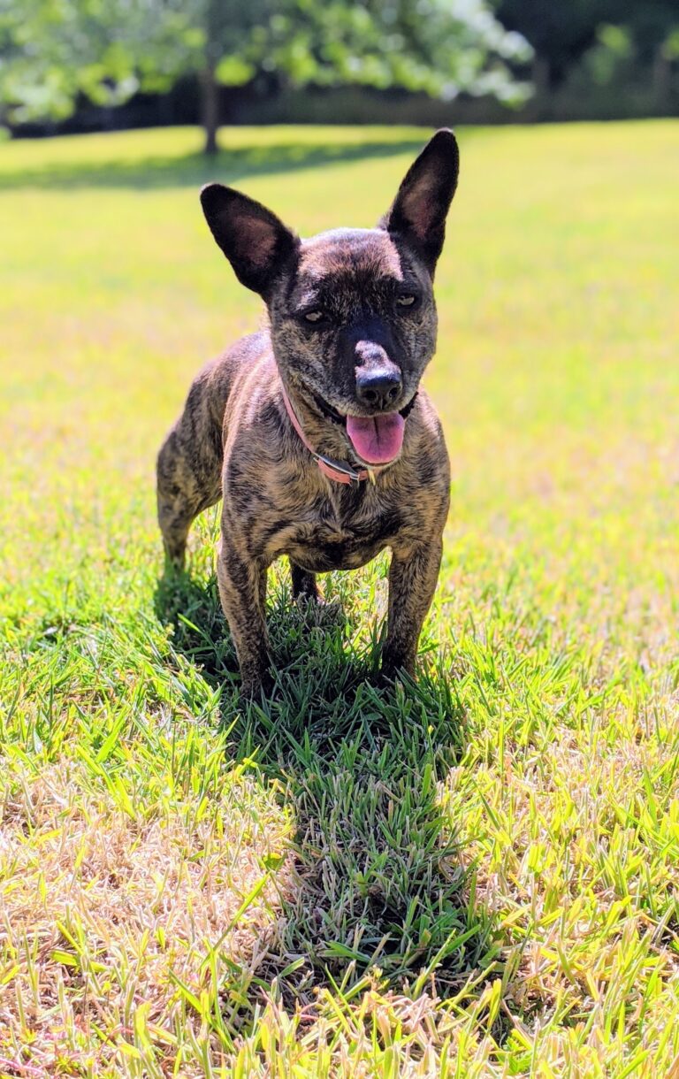 1628 4cd220ab3eac03cf3e12f3e99c9436b6 1 768x1220