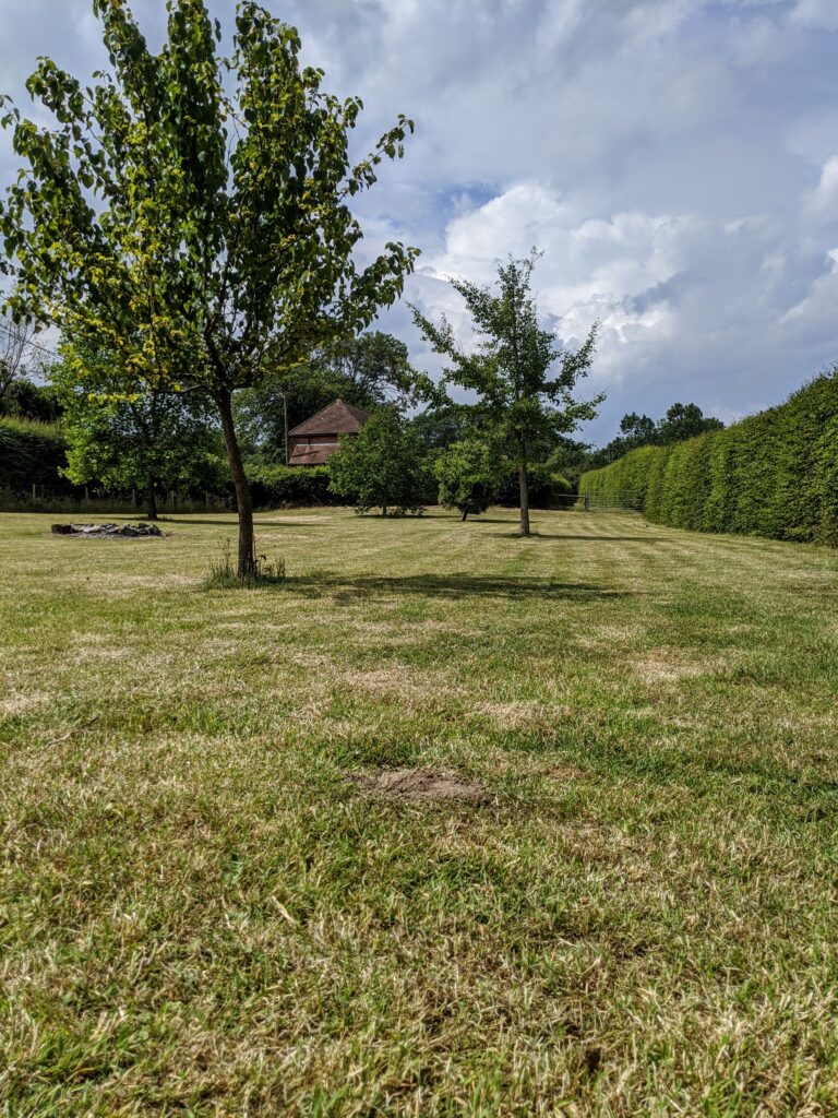 1628 7e658c2499fe0ed65508dfa384c0644f 1 768x1024