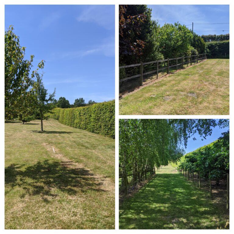 1628 9a6326cc0d745e1140d26a2915b1b55b 1 768x768