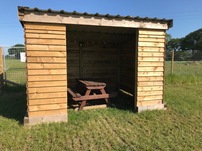 1629 499837de4cd57773e6cc2fbf99c0681e 1 768x576