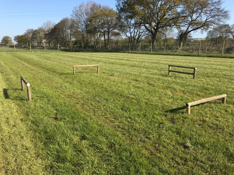 1629 96e6155e567d3eb7f6ab0a9679e93292 1 768x576