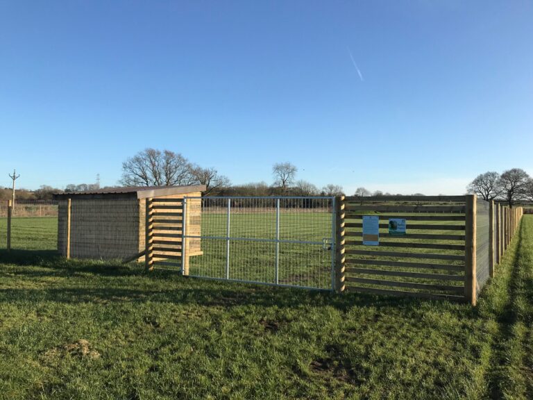 1629 aca84cf62028e2a39e7353775bc0c862 1 scaled 768x576