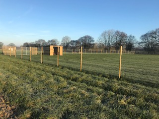 1629 f9c1c390304a9144d1566d33735c74b3 1