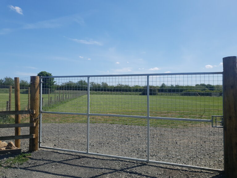 1633 85e05435dac9f99eab7f9688f1177fa0 1 768x576