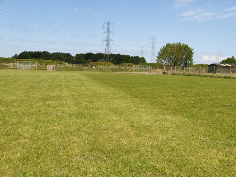 1633 b8ef8374ad792fdf9f2527317e0e5f5c 1 scaled 768x576