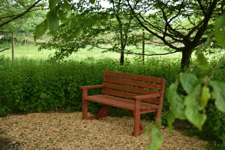 1634 05fd65547a6b1f867a4fc654ab24b30b 1 768x512