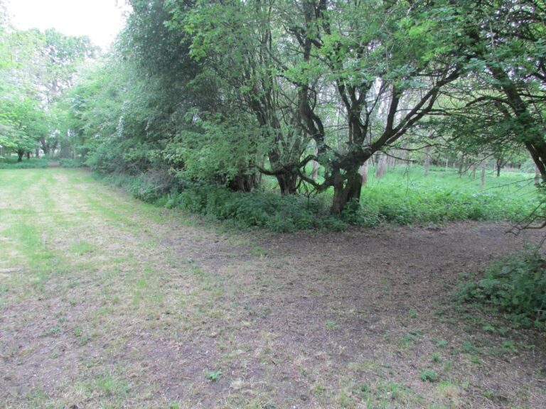 1634 67d0d2bddde13511246d723c4ac4c363 1 768x576